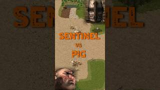 Sentinel vs Pig | Stronghold Crusader: DE #strongholdcrusader #fireflystudios #gameplay #rts