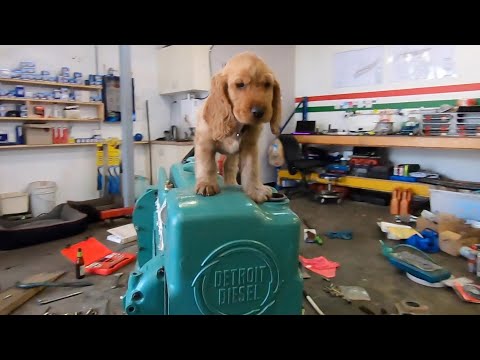 Detroit Diesel assembly continues