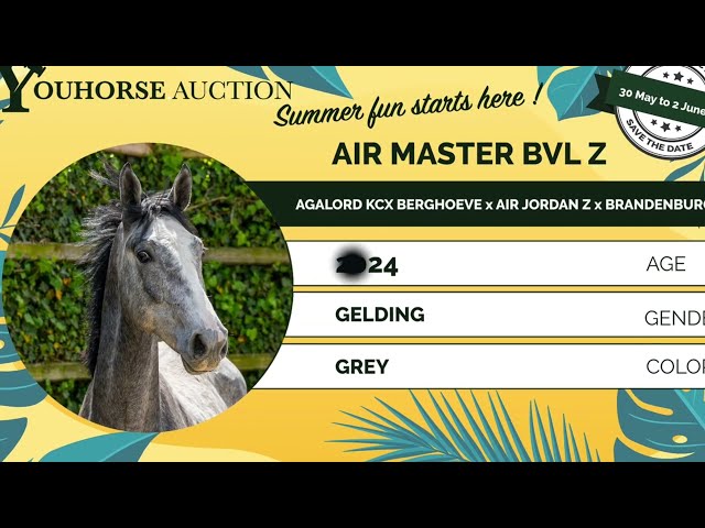 Air Master BvL Z