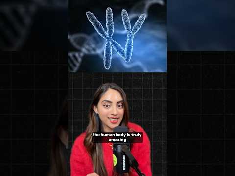 Scientists Discover Woman Carrying TWO Sets of DNA