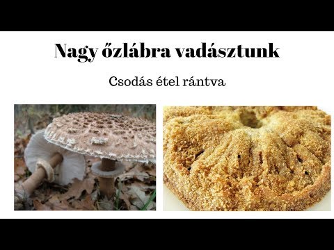 Tabletta férgek és gomba kezelésére