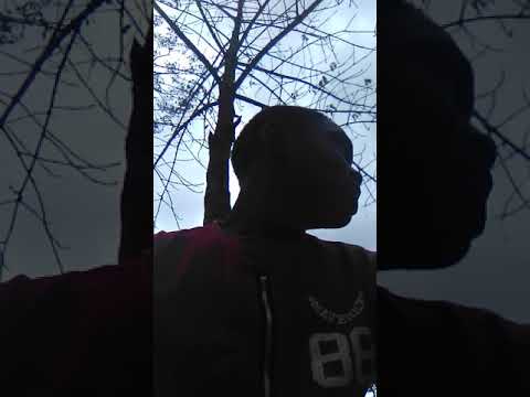 Moyoyo dopedealer chillings