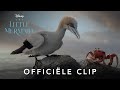 The Little Mermaid | Officiële clip: Listen to me bird! | Disney NL
