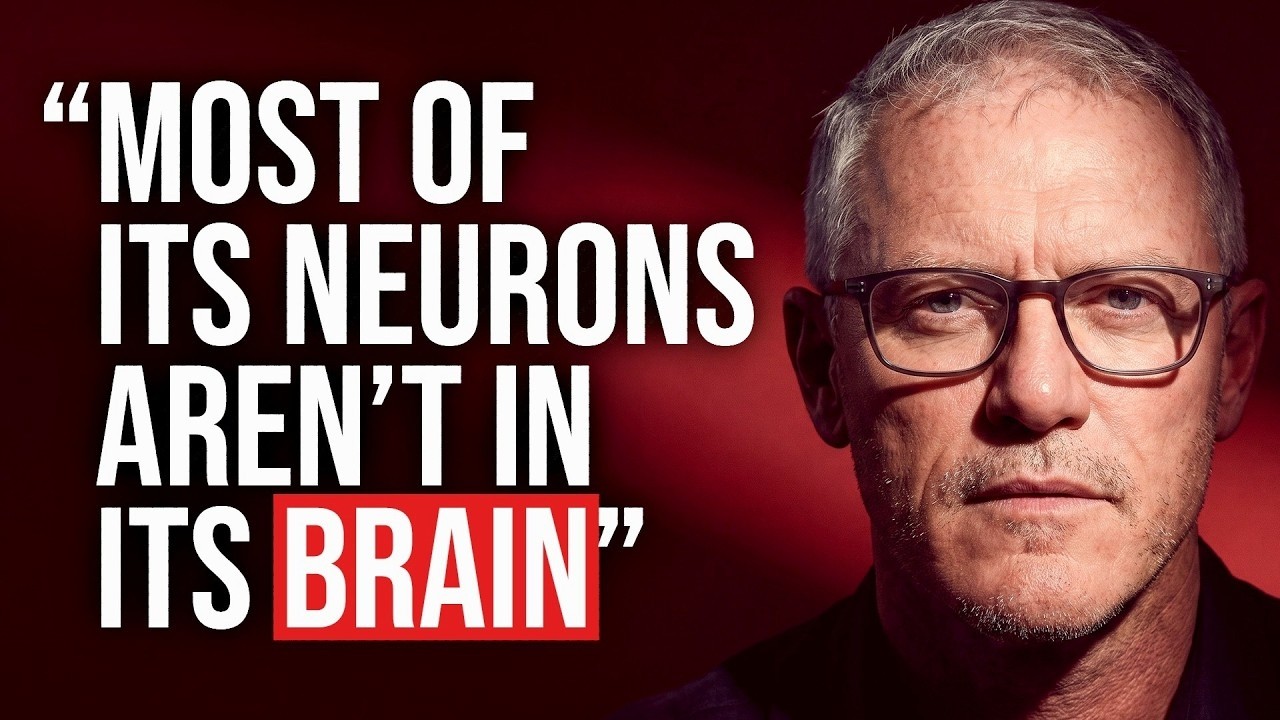 The Unsettling Truth About Consciousness