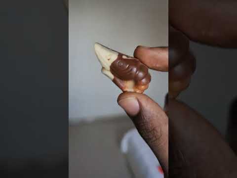 Seahorse Shaped Chocolate by Guylian