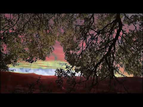 ALMA MATER. A VISTA DEL ALMA