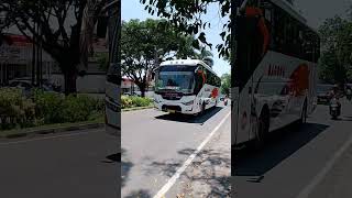 Download lagu AYO AYO BLITAR BLITAR BAGONG MALANG-BLITAR DI TERMINAL ARJOSARI #pobagong #malangblitar #asmr mp3 Download lagu AYO AYO BLITAR BLITAR BAGONG MALANG-BLITAR DI TERMINAL ARJOSARI #pobagong #malangblitar #asmr mp3