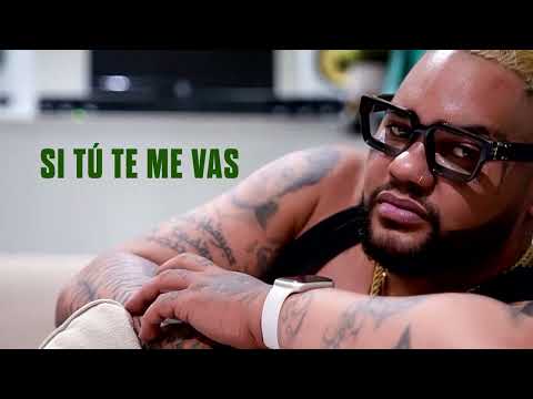 El Taiger & El Mas Psao _No comprendes 😎👋🏻_remix