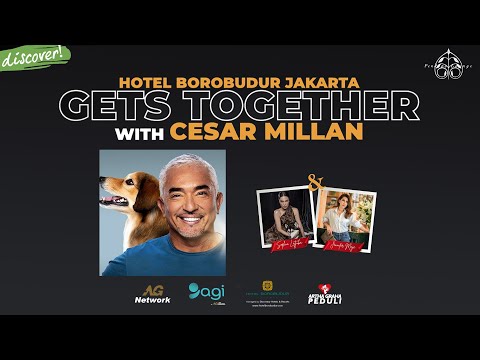 Seru Abis! Cesar Millan Talkshow bersama Para Artis di Hotel Borobudur Jakarta