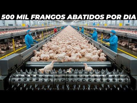 DISCOVER THE LARGEST CHICKEN SLAUGHTERHOUSE IN BRAZIL