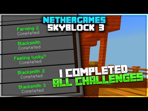 DIFFERENT NOOB 2.0 - [Hindi] Nethergames Skyblock Season 3 ||Done Challenges & Go in PvP Arena || MCPE INDIA #skyblock