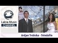 Ardian Trebicka - Trendafile