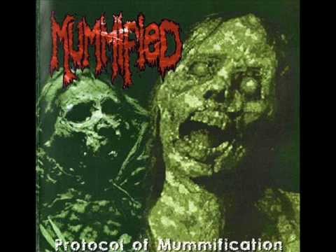 download lagu mp3 mp4 Mummified COSTA RICA, download mp3 Mummified COSTA RICA free download mp3, download mp3 Mummified COSTA RICA