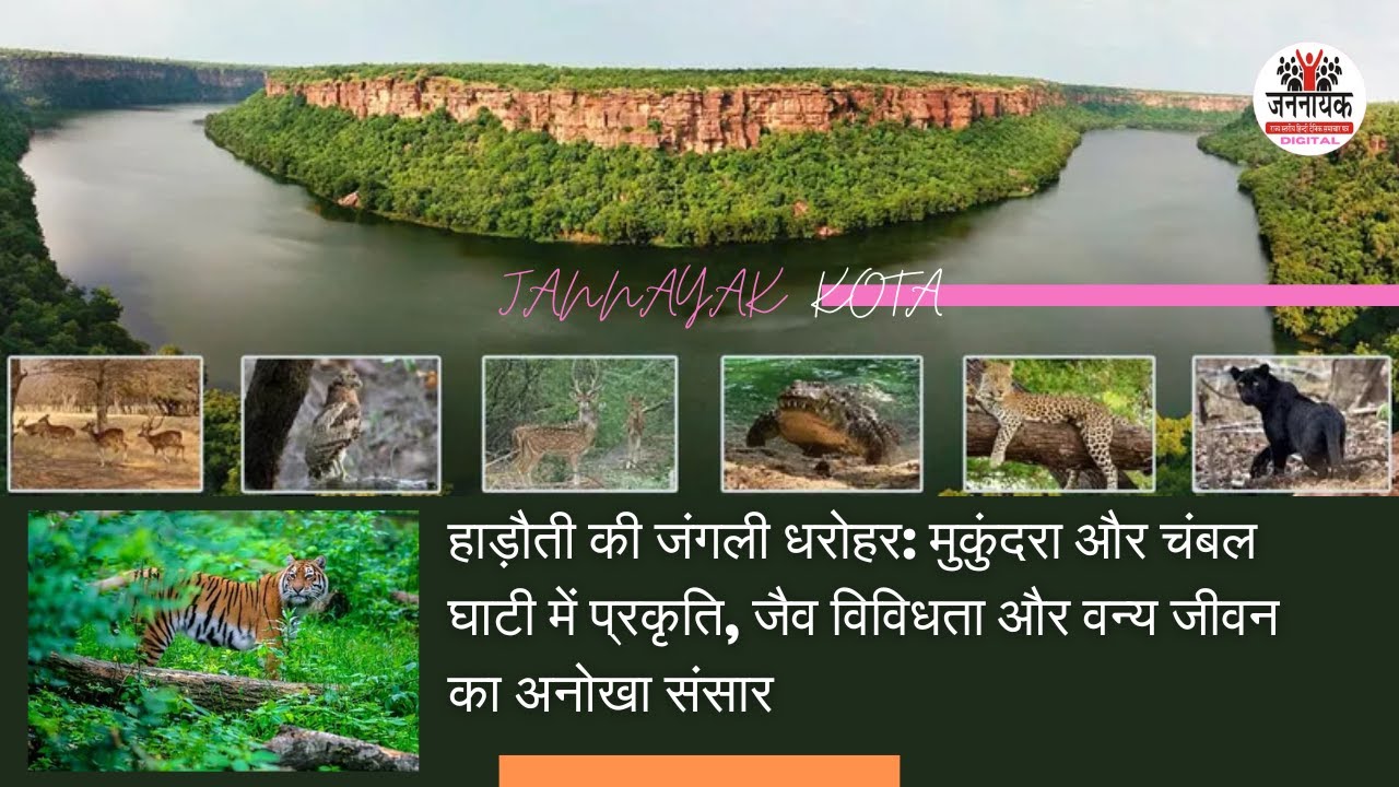 हाड़ौती की जंगली धरोहर: मुकुंदरा और चंबल घाटी में प्रकृति, जैव विविधता और वन्य जीवन का अनोखा संसार