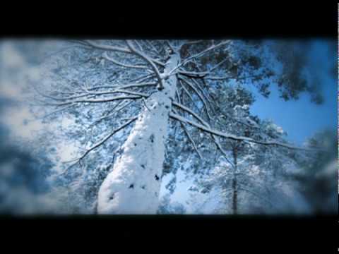 NARSILION - Winter Elven Dream