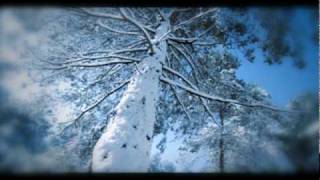 NARSILION - Winter Elven Dream