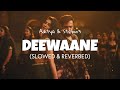 Deewaane Slowed Reverb Aditya Stebin Selfie Movie New Song Lofi Edit 2023
