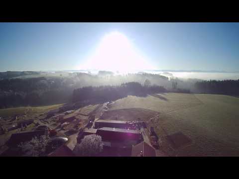 Pferdehof Luppmanns im Dezember mit Raureif und noch fast im Nebel