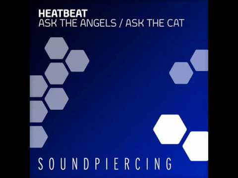 Ask The Cat