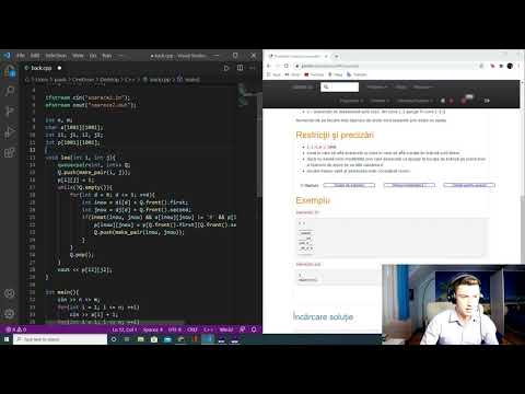 Mouse2 Problem #880 on PbInfo.ro - Lee's algorithm!