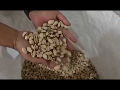 Dry pistachio nut, packet, with shell