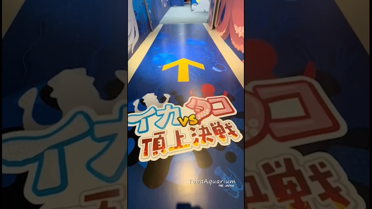 《鳥羽水族館》春の企画展「イカvsタコ頂上決戦」開催中🦑🐙　#鳥羽水族館 #tobaaquarium #イカvsタコ頂上決戦 #イカ #タコ