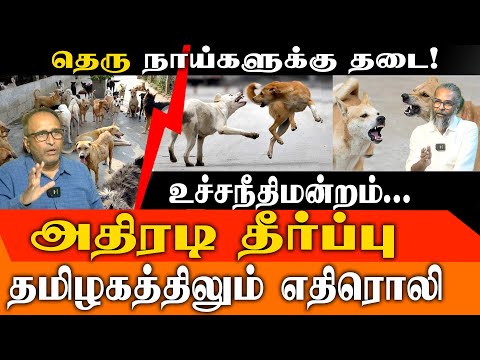 Supreme Court Bans Stray Dogs? Murali Discuss SC, Madras, & Rajasthan High Court Judgements