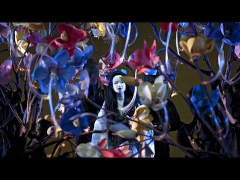 M2aθda3ma B8utδterf5ly (B8russ4els, 2017)