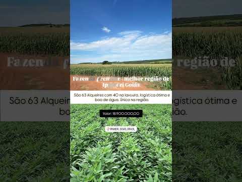 63 Alqueires em Ipameri Go / whatsapp 62 99373-6407