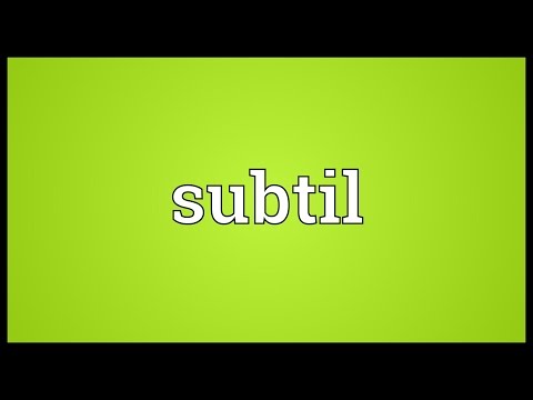 Subtil Meaning