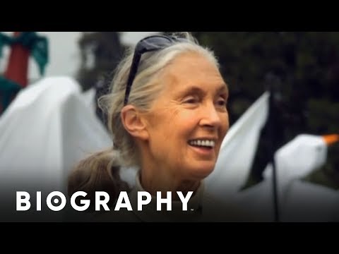 Jane Goodall - Animal Rights Activist | Mini Bio | BIO