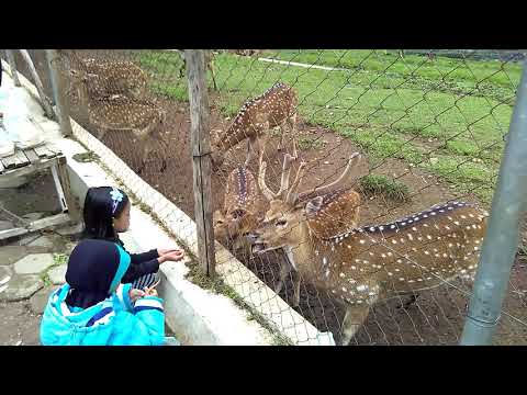 Uncal Novyj Trend Smotret Onlajn Na Sajte Trendovi Ru