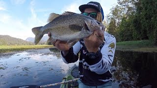 Clarrie Hall Dam AMAZING Surface Fishing For Australian Bass !