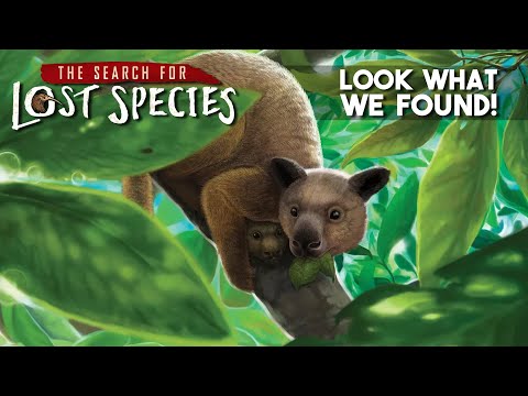 The Search for Lost Species: We Found THE Next Deduction Game!