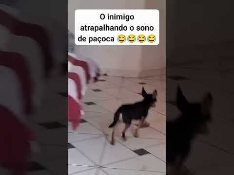 gratidão meus amigos e amigas