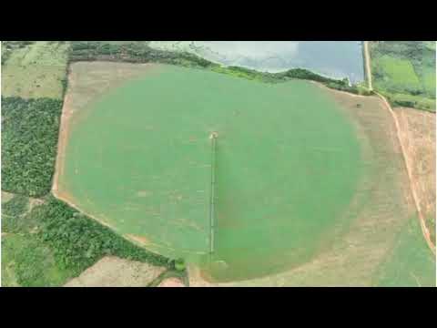 Campo San Pedro, Paraguay