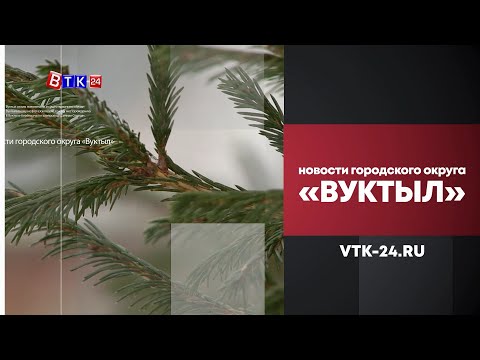 Изменения в Лесном кодексе РФ изменили работу лесничества