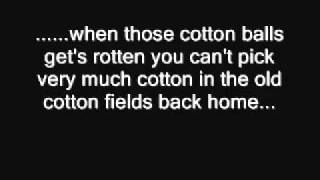 CCR   cotton fields lyrics