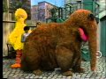 Sesame Street Doing Amazing Things