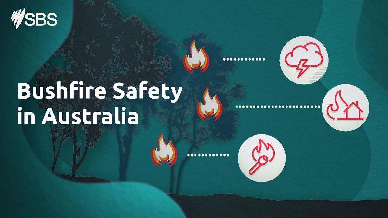How to prepare for bushfires and how to stay safe? | Settlement Guide video