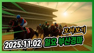 2025년 11월 2일 일요 서울경마 전체경주 모아보기