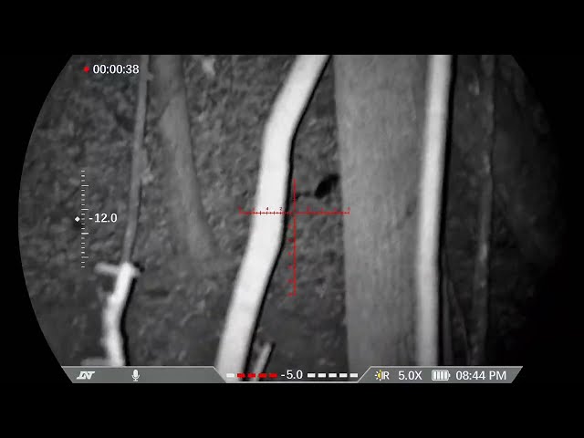 Judge.me YouTube video placeholder