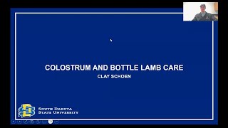 Colostrum and Bottle Lamb Care