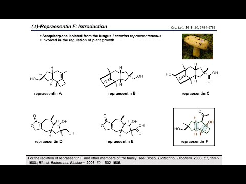 Synthesis Workshop: Synthesis of Repraesentin F with Dr. Sofia Ferrer (Episode 32)