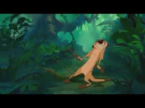 Megatron MC lan timão e pumba