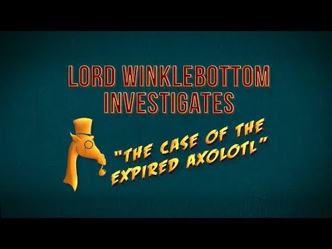 LORD WINKLEBOTTOM INVESTIGATES - Debut Trailer thumbnail