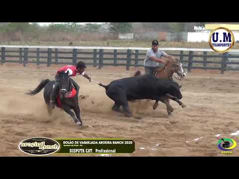 DISPUTA PROFISSIONAL - BOLÃO DE VAQUEJDA DO PARQUE AROEIRA RANCH - RONDON DO PA 2020