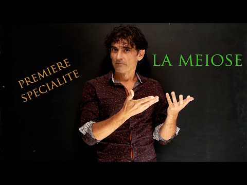 la MEIOSE