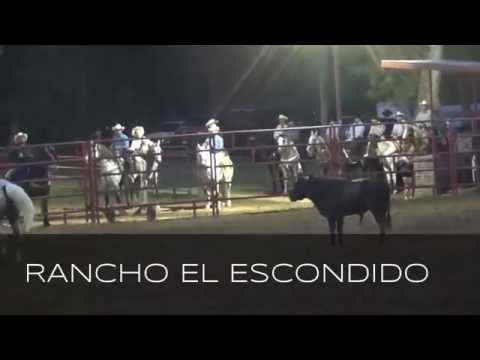 PIALES CON TOROS BRAVOS EN RANCHO EL ESCONDIDO