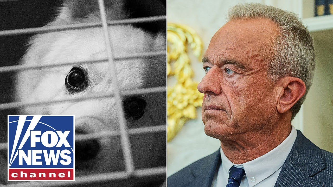 RFK Jr shares what inspired him to help stop animal cruelty